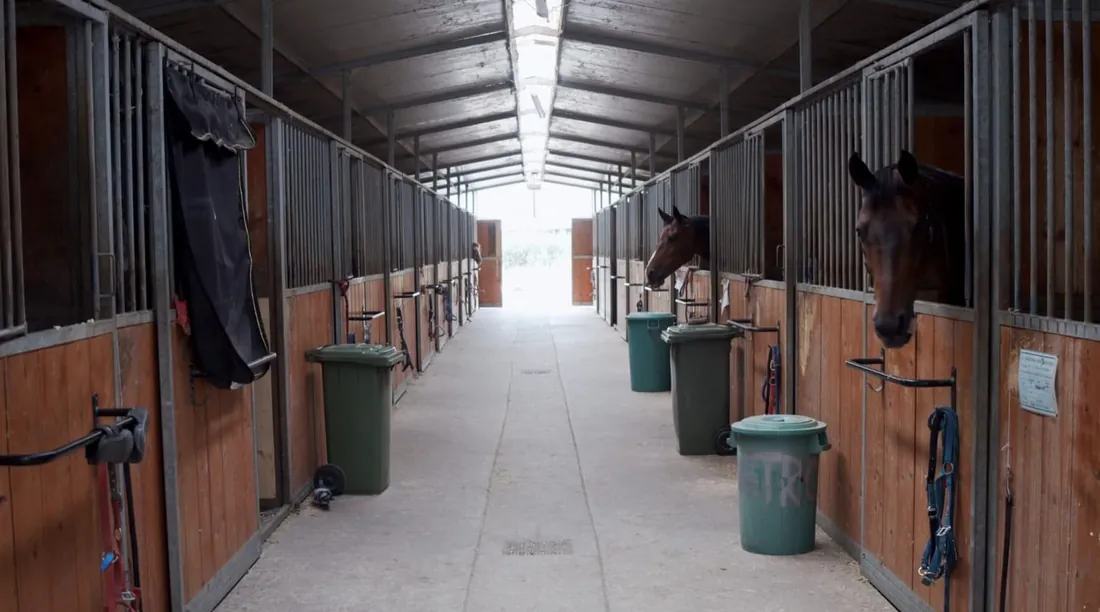 Stables & Equestrian Centres