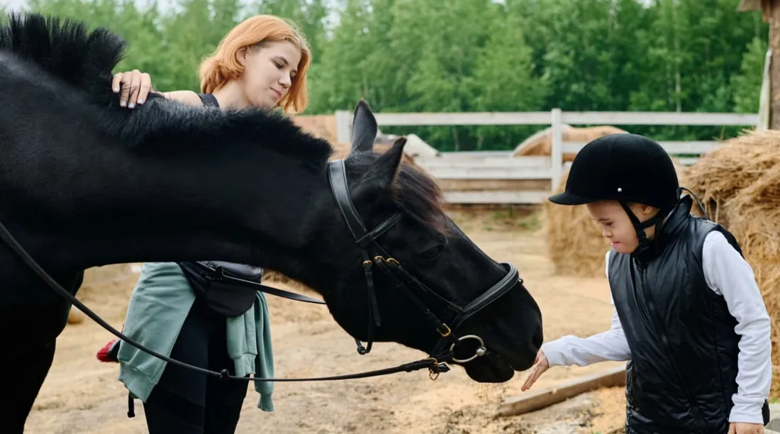 A child greeting a horse nose to hand