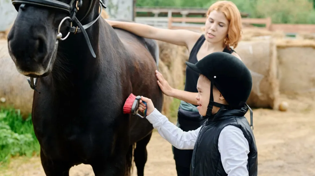 A child grooming a horse under supervision