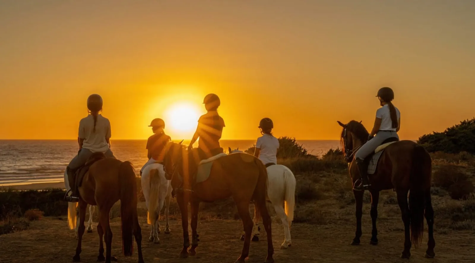 Leisure, Tourism & Equestrian Activities